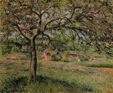  Baum Kunst - Apfelbaum in eragny 1884 Camille Pissarro
